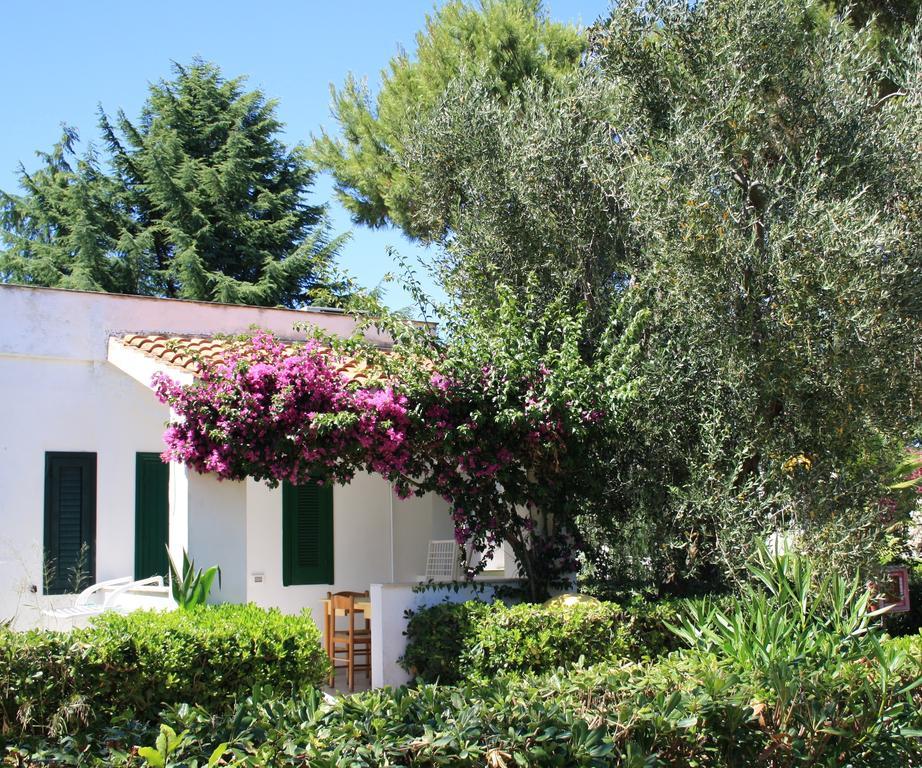 Villaggio Turistico Residence Delfino Vieste Exterior photo